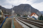 Mojžíř